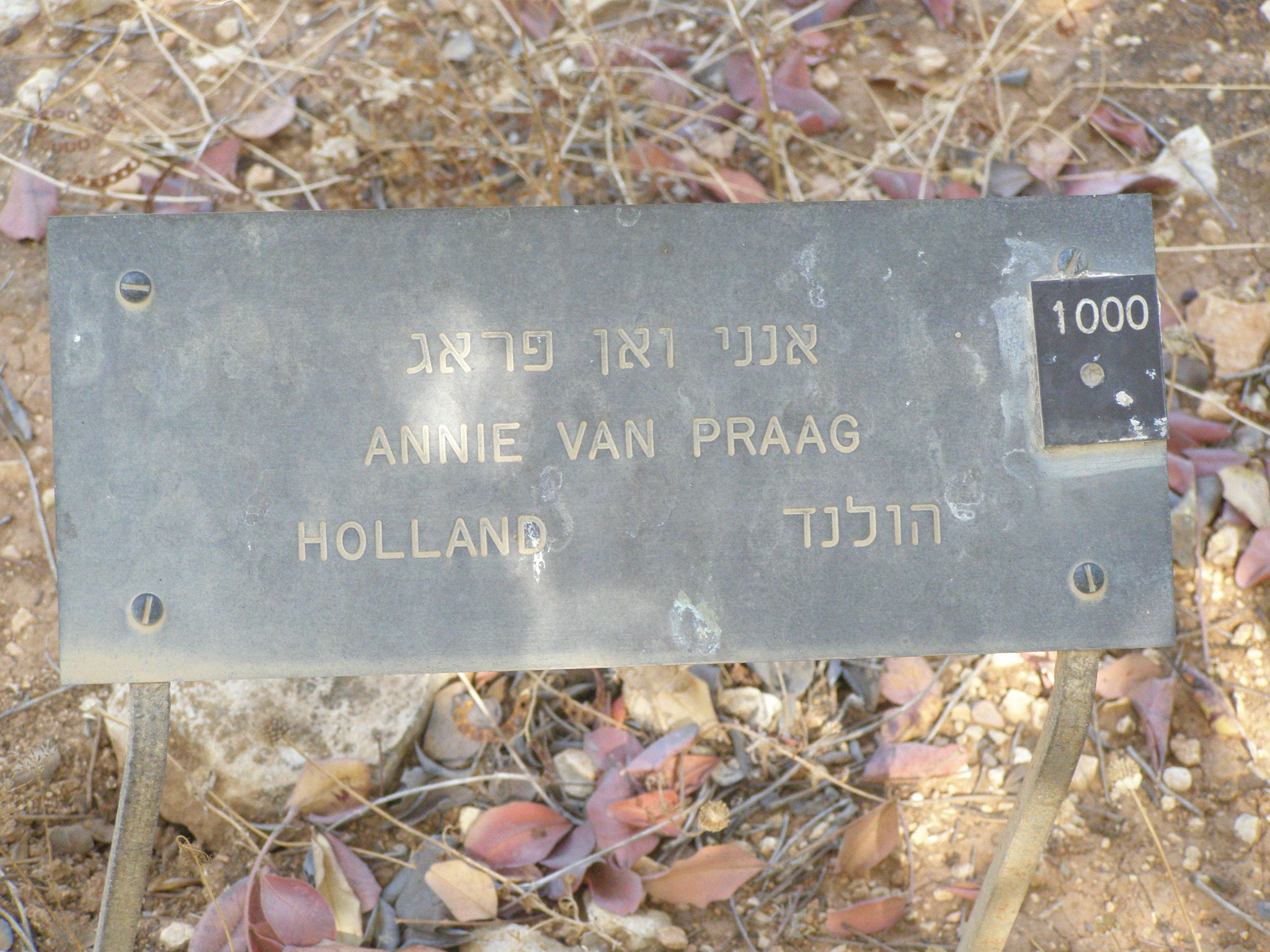 Garten der Gerechten Yad Vashem